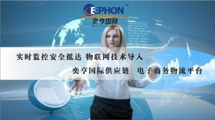 上海空運(yùn)私人物品機(jī)場進(jìn)出口報(bào)關(guān)指南及專業(yè)代理服務(wù)解析